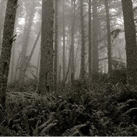 The Flow of Changing Light